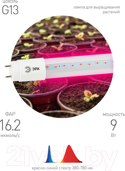 Изображение товара Светильник для растений ЭРА FITO-9W-RB-Т8-G13-NL / Б0042986