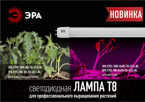 Изображение товара Светильник для растений ЭРА FITO-9W-RB-Т8-G13-NL / Б0042986