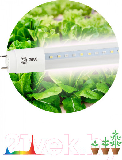 Изображение товара Светильник для растений ЭРА FITO-18W-Ra90-Т8-G13-NL / Б0042987
