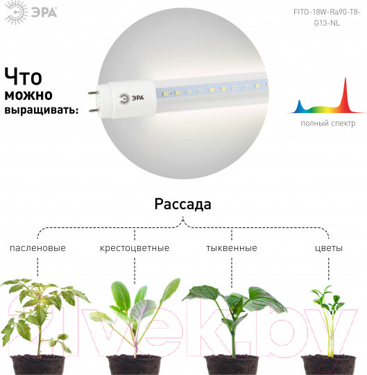 Изображение товара Светильник для растений ЭРА FITO-18W-Ra90-Т8-G13-NL / Б0042987