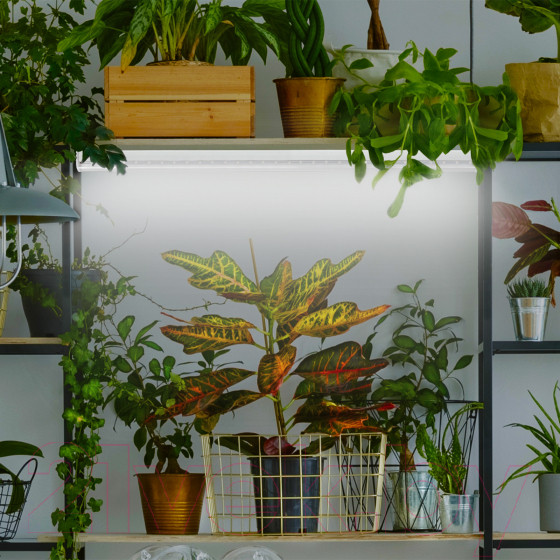 Изображение товара Светильник для растений ЭРА FITO-18W-Ra90-Т8-G13-NL / Б0042987