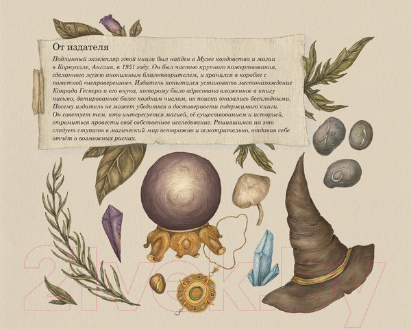 Изображение товара Книга АСТ Секретный мир магии (Дэвид П., Рокс Д.)