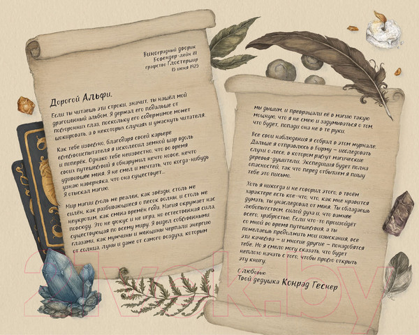 Изображение товара Книга АСТ Секретный мир магии (Дэвид П., Рокс Д.)