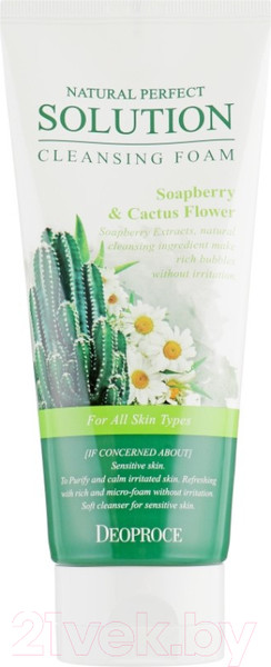 Изображение товара Пенка для умывания Deoproce Natural Perfect Solution с экстрактами кактуса и мыльного ореха (170г)