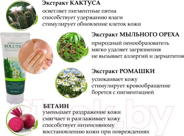 Изображение товара Пенка для умывания Deoproce Natural Perfect Solution с экстрактами кактуса и мыльного ореха (170г)