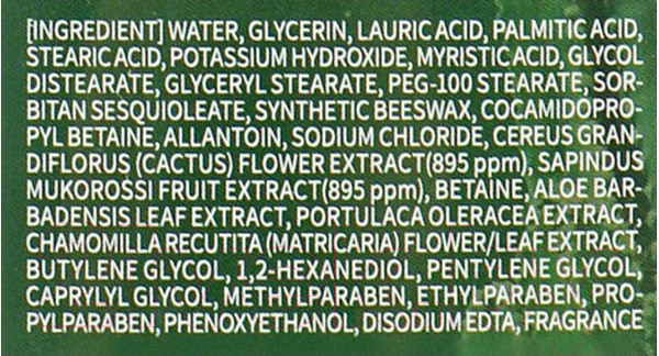 Изображение товара Пенка для умывания Deoproce Natural Perfect Solution с экстрактами кактуса и мыльного ореха (170г)