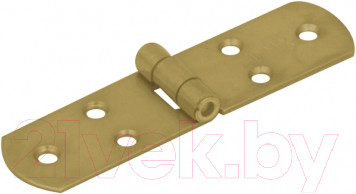 Изображение товара Петля дверная Domax ZF 120 / 807101