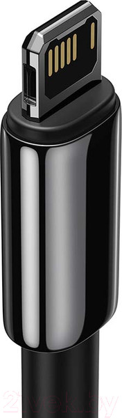 Изображение товара Кабель Baseus Tungsten Gold USB To Lightning / CALWJ-A01 (2м, черный)