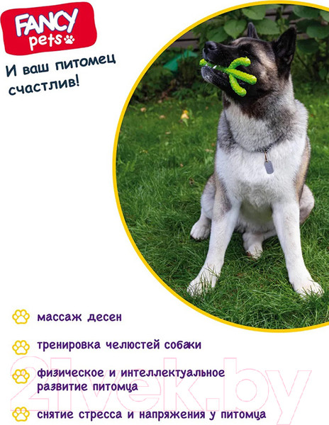 Изображение товара Игрушка для собак Fancy Pets Кактус / FPP13