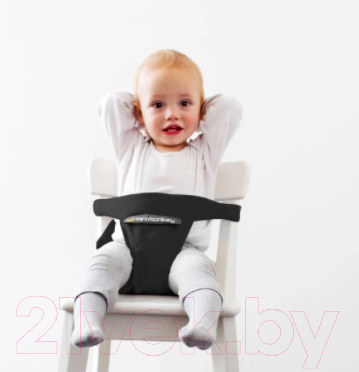 Изображение товара Стульчик для кормления Minimonkey Mini Chair / MKY_20000101 (черный)