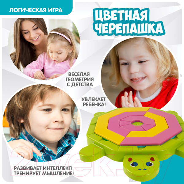 Изображение товара Развивающая игра Bondibon Цветная черепашка / ВВ5082