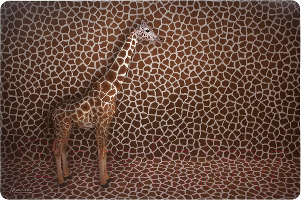 Изображение товара Плейсмат Marmiton Сафари 17375 (4шт)