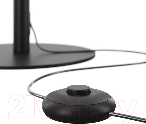 Изображение товара Торшер Maytoni Ray Z012FL-L18B3K