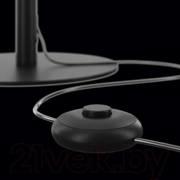 Изображение товара Торшер Maytoni Ray Z012FL-L18B3K