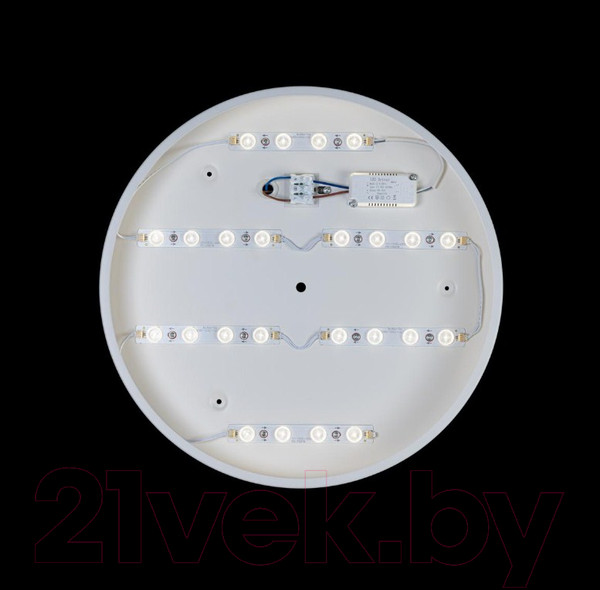 Изображение товара Потолочный светильник Loftit Axel 10002/24 (белый)