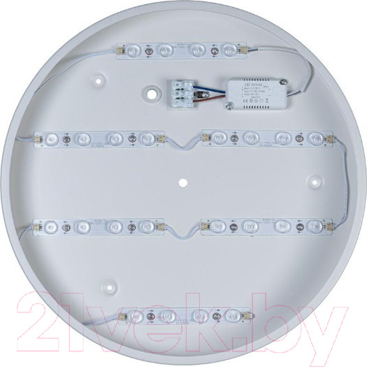 Изображение товара Потолочный светильник Loftit Axel 10002/24 (белый)