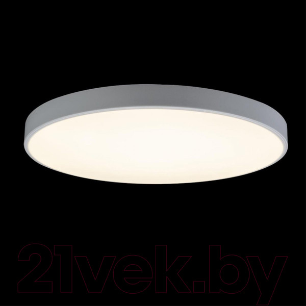 Изображение товара Потолочный светильник Loftit Axel 10002/48 White