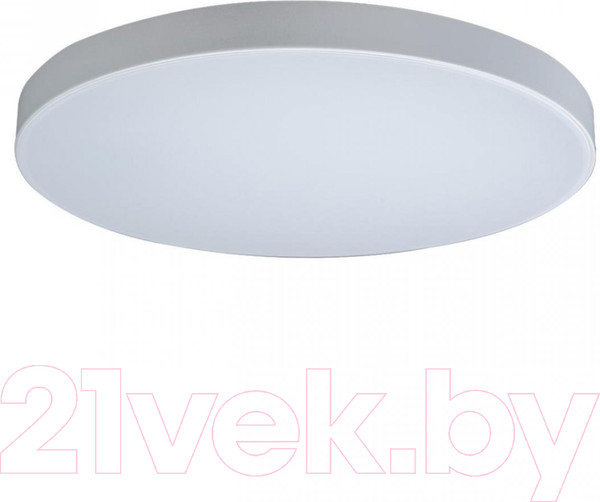 Изображение товара Потолочный светильник Loftit Axel 10002/48 White