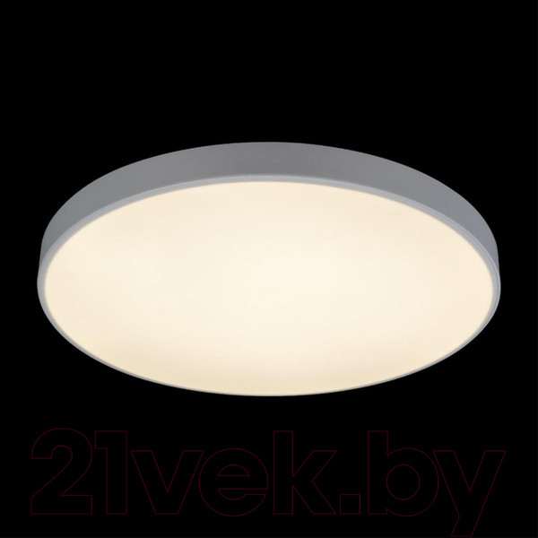 Изображение товара Потолочный светильник Loftit Axel 10002/48 White