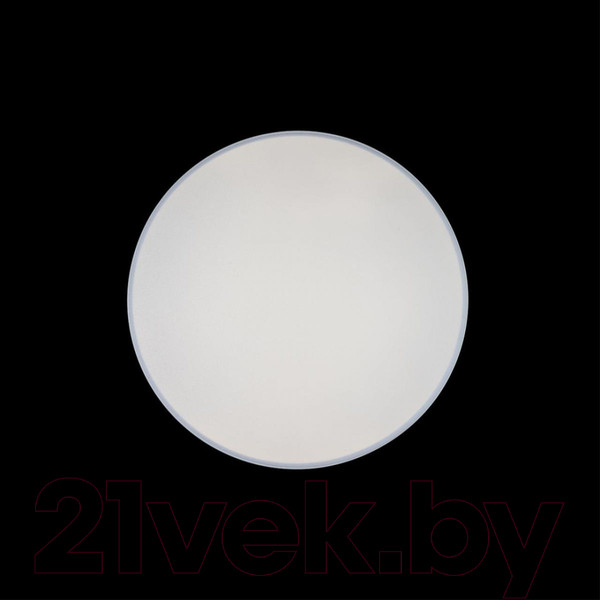Изображение товара Потолочный светильник Loftit Axel 10002/48 White