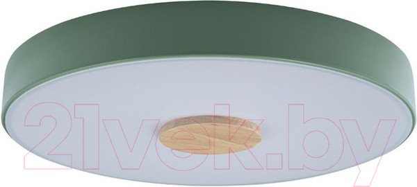 Изображение товара Потолочный светильник Loftit Axel 10003/24 (зеленый)