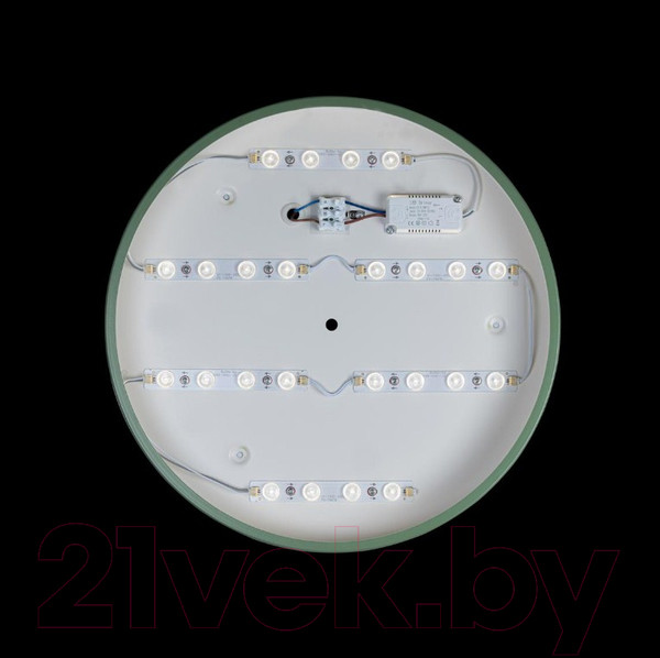 Изображение товара Потолочный светильник Loftit Axel 10003/24 (зеленый)