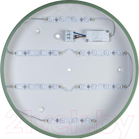 Изображение товара Потолочный светильник Loftit Axel 10003/24 (зеленый)