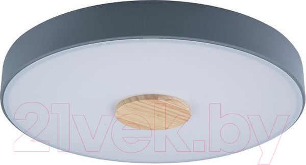 Изображение товара Потолочный светильник Loftit Axel 10003/24 (серый)