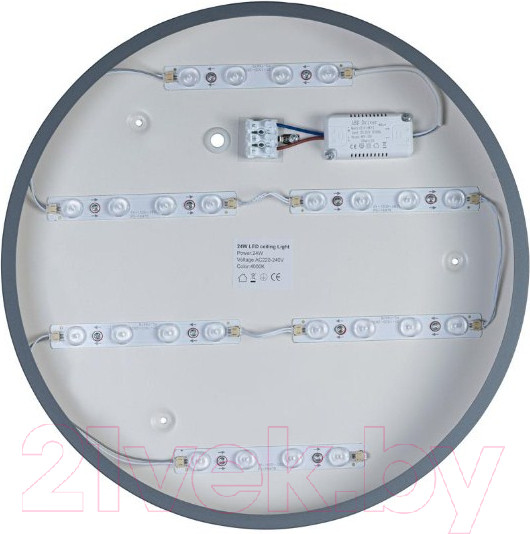 Изображение товара Потолочный светильник Loftit Axel 10003/24 (серый)