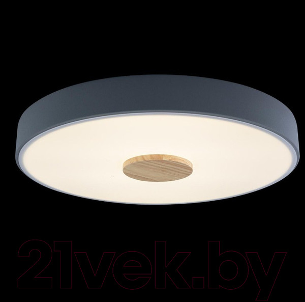 Изображение товара Потолочный светильник Loftit Axel 10003/24 (серый)