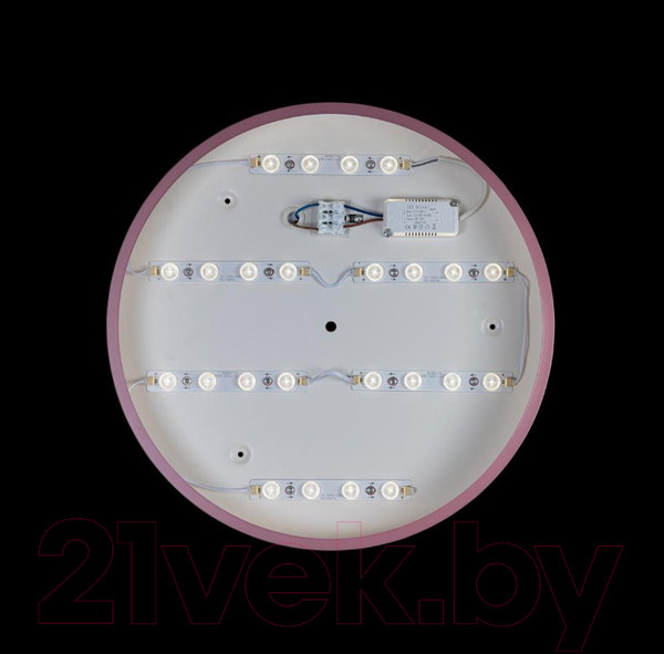 Изображение товара Потолочный светильник Loftit Axel 10003/24 (розовый)