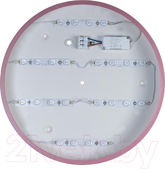 Изображение товара Потолочный светильник Loftit Axel 10003/24 (розовый)