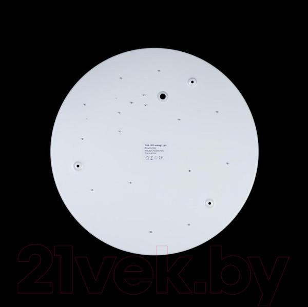 Изображение товара Потолочный светильник Loftit Axel 10003/24 (белый)