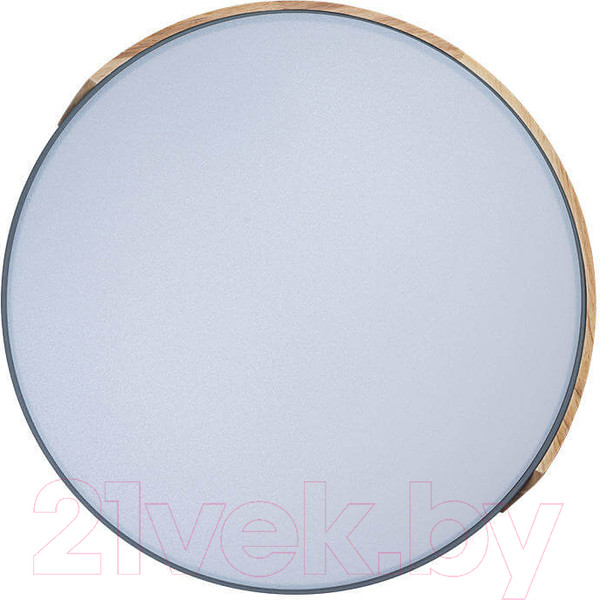 Изображение товара Потолочный светильник Loftit Axel 10004/36 Grey