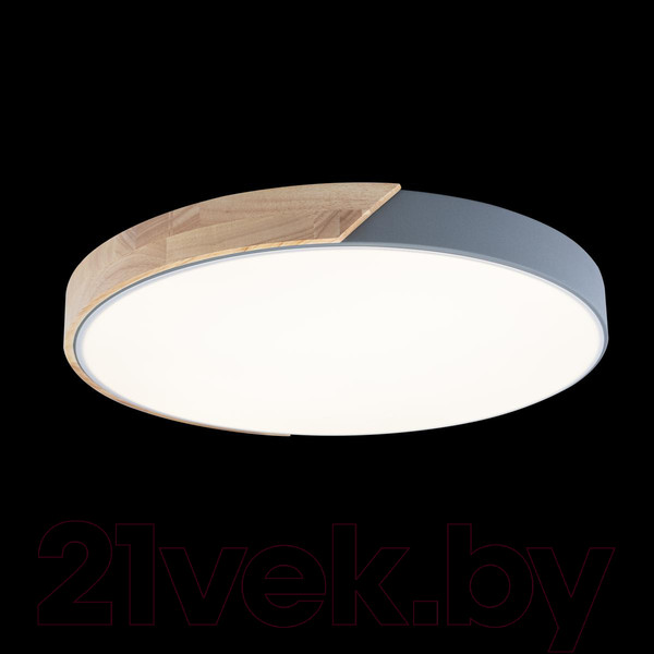 Изображение товара Потолочный светильник Loftit Axel 10004/36 Grey