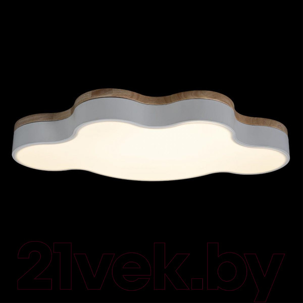 Изображение товара Потолочный светильник Loftit Axel 10005/36 (White)