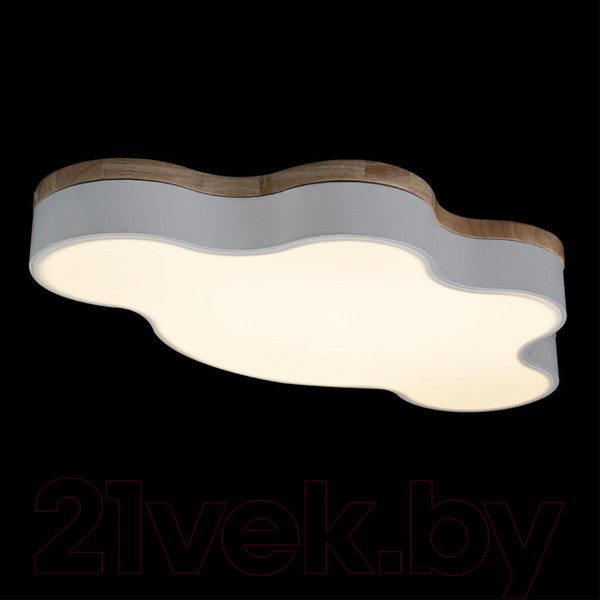 Изображение товара Потолочный светильник Loftit Axel 10005/36 (White)