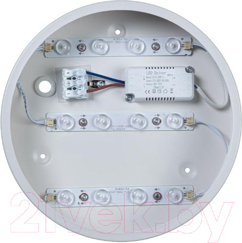 Изображение товара Потолочный светильник Loftit Axel 10002/12 (белый)