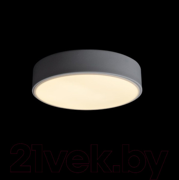 Изображение товара Потолочный светильник Loftit Axel 10002/12 (белый)