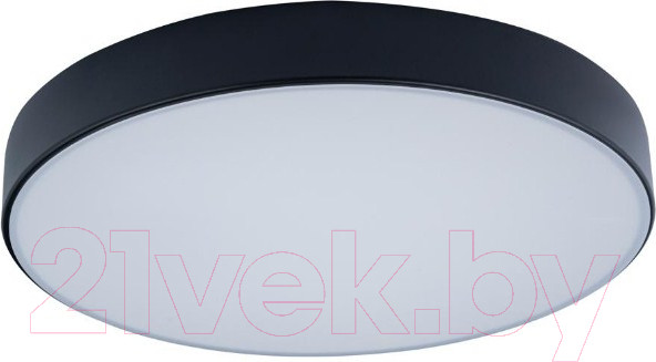 Изображение товара Потолочный светильник Loftit Axel 10002/24 (черный)