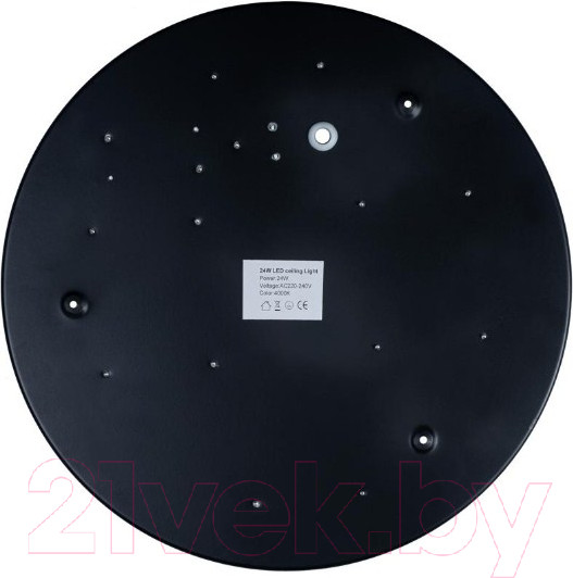 Изображение товара Потолочный светильник Loftit Axel 10002/24 (черный)