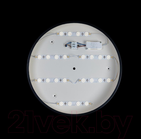 Изображение товара Потолочный светильник Loftit Axel 10002/24 (черный)