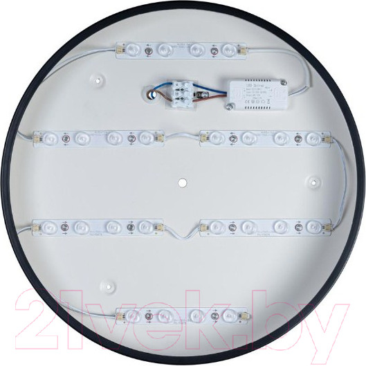 Изображение товара Потолочный светильник Loftit Axel 10002/24 (черный)