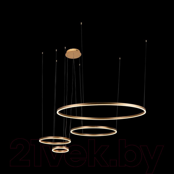 Изображение товара Люстра Loftit Ring 10017/4L