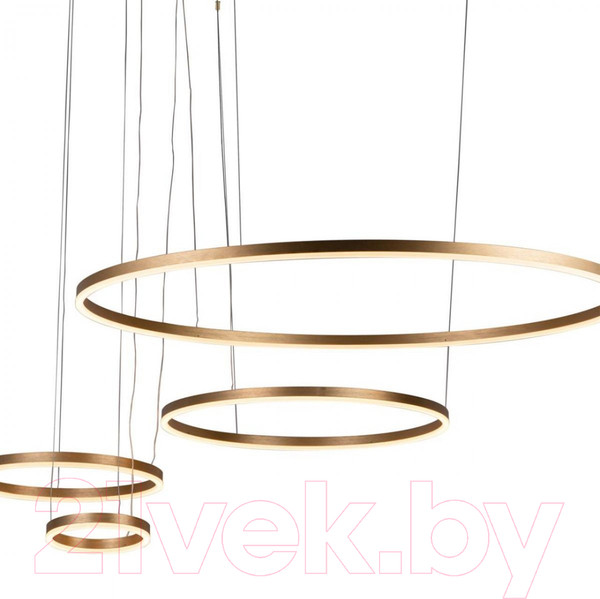 Изображение товара Люстра Loftit Ring 10017/4L