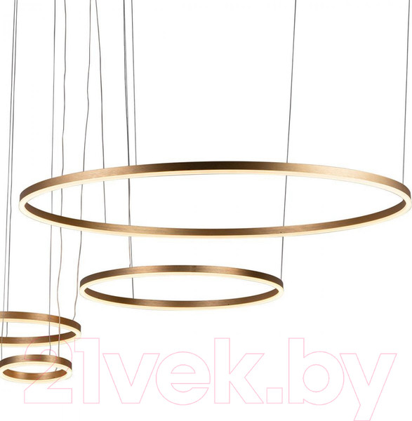 Изображение товара Люстра Loftit Ring 10017/4M