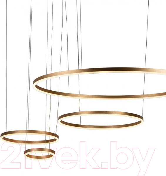 Изображение товара Люстра Loftit Ring 10017/4M