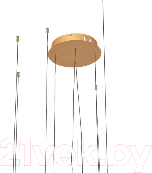 Изображение товара Люстра Loftit Ring 10017/4S