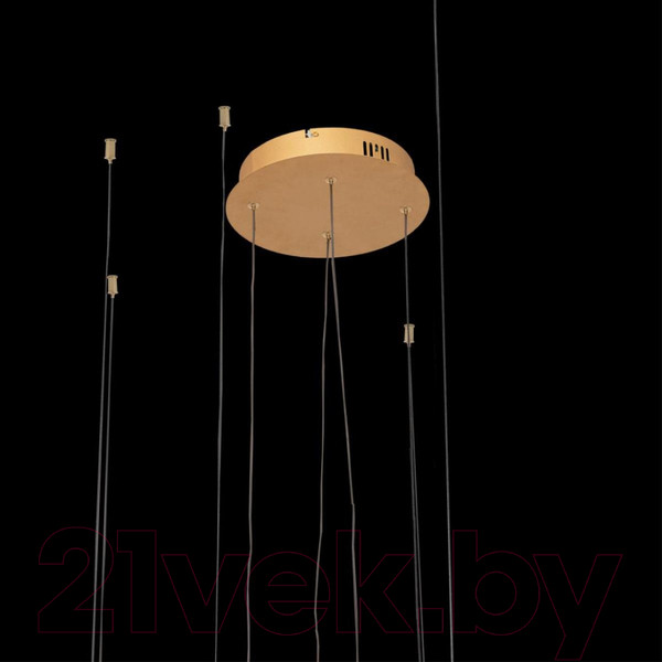 Изображение товара Люстра Loftit Ring 10017/4S