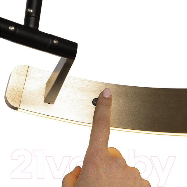 Изображение товара Торшер Loftit Ring 10027